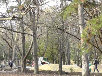 Прикрепленное изображение: ~S2600010.jpg